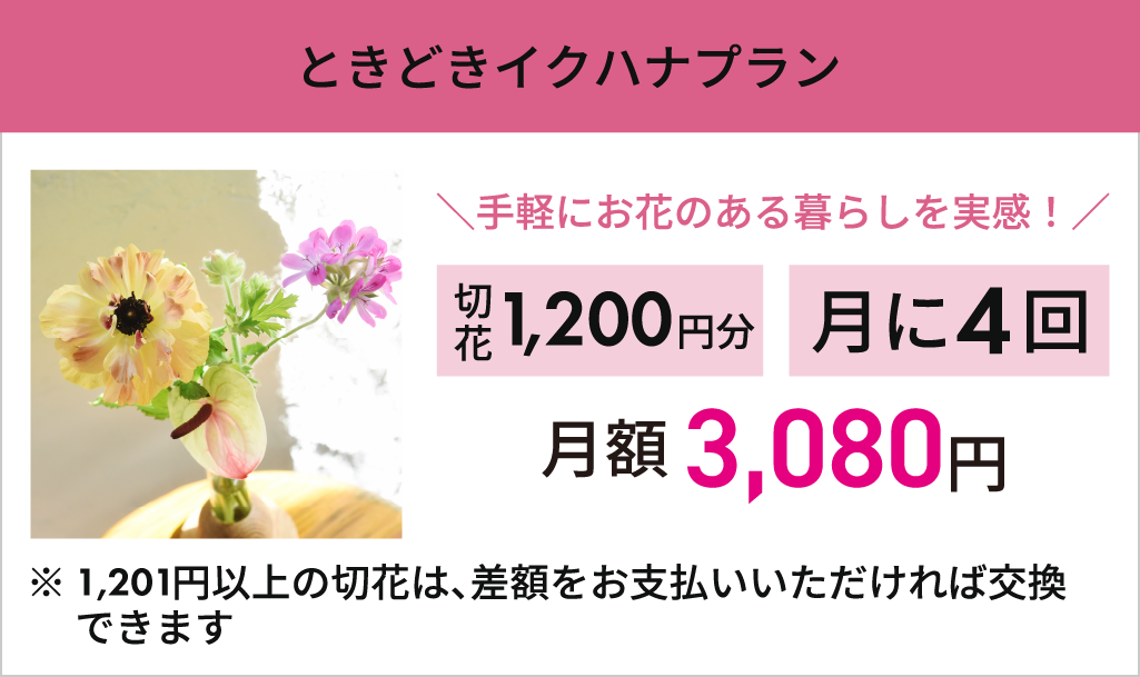 20250901_02_ときどきイクハナプラン