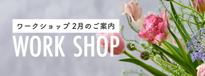 202602_WS_ハナノヒ_バナー_メール