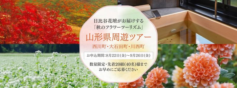【お知らせ用】800_300_ボタンなし