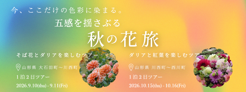 ハナノヒ