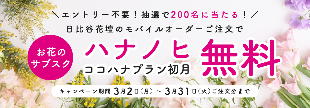 ハナノヒお知らせページ_タップ誘導なし