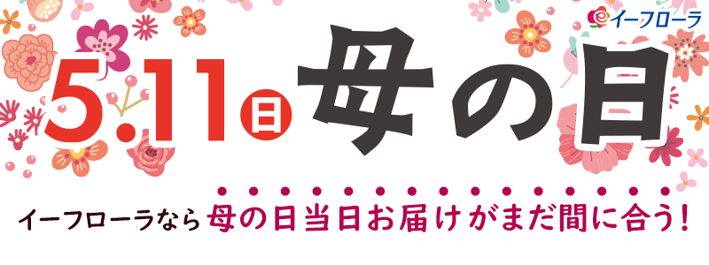 直前②リンクなし