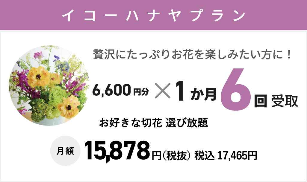 【いこーハナヤプラン】月6回まで1回6,600円までお好きな切り花選び放題　月額：15,878円