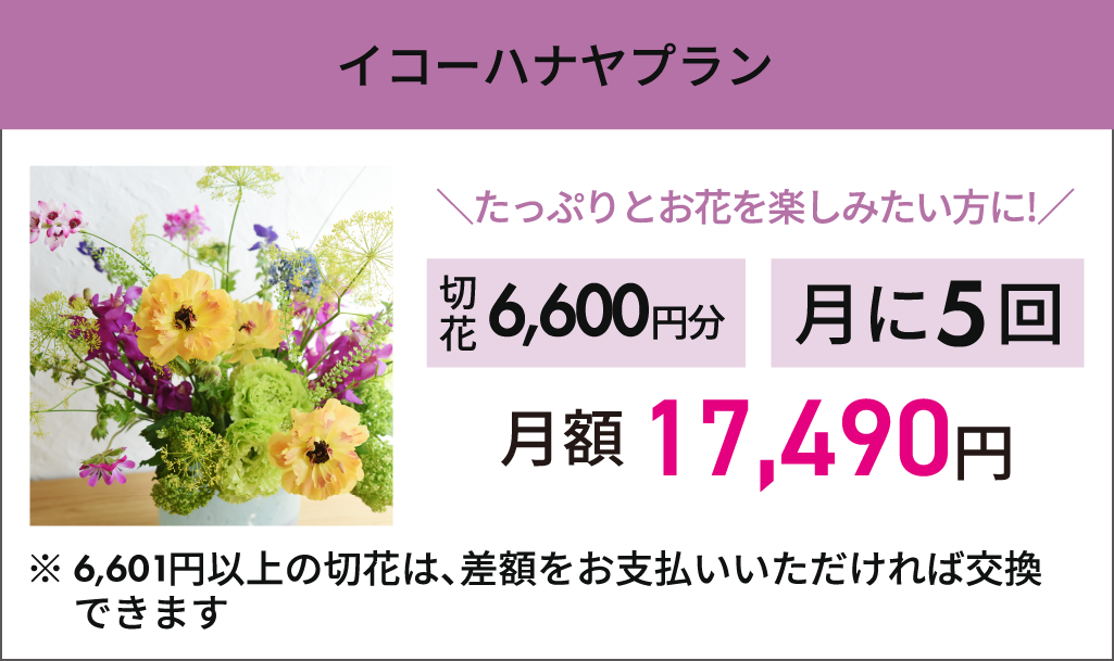 【いこーハナヤプラン】月6回まで1回6,600円までお好きな切り花選び放題　月額：17,490円