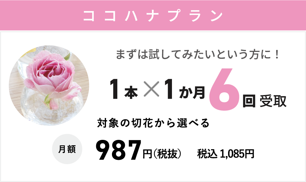 【ココハナプラン】月6回まで1回1本対象の切り花から選べる　月額：987円