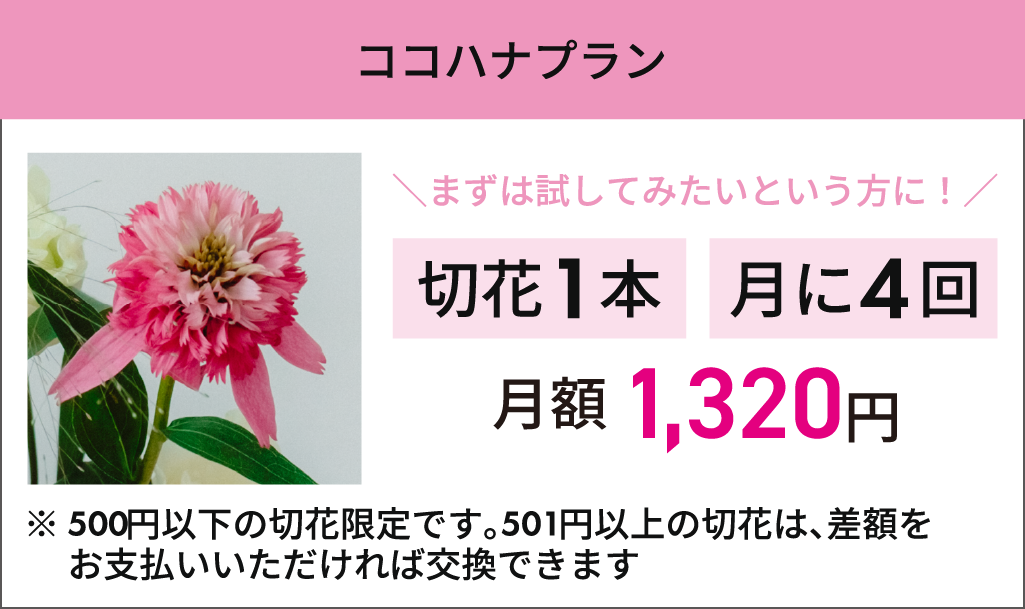 【ココハナプラン】月6回まで1回1本対象の切り花から選べる　月額：1,320円