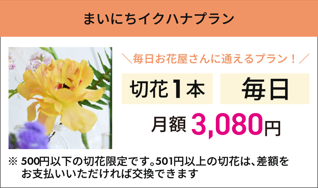 【まいにちイクハナプラン】毎日1回1本対象の切り花から選べる　月額：3,080円