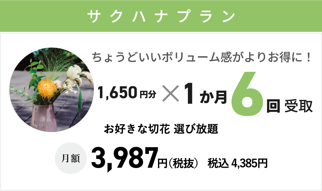 【サクハナプラン】月6回まで1回1,650円までお好きな切り花選び放題　月額：3,987円