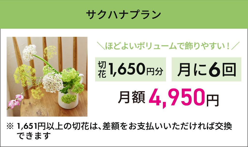 【サクハナプラン】月6回まで1回1,650円までお好きな切り花選び放題　月額：4,950円