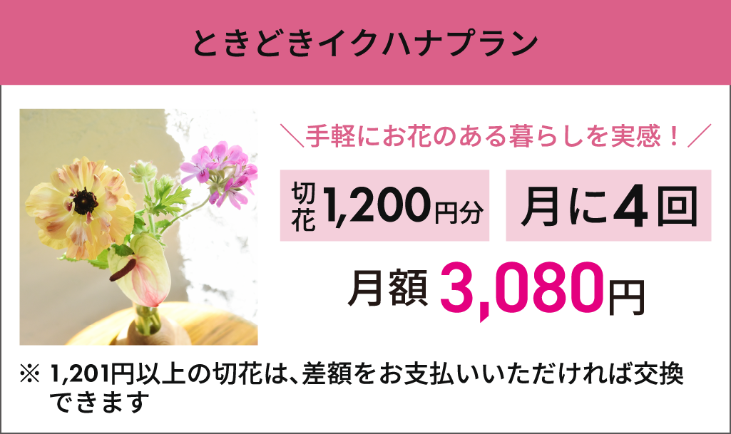 【ときどきイクプラン】月5回まで1回990円までお好きな切り花選び放題　月額：3,0807円